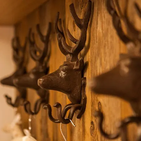 Chalet-platzhirsch Hébergement de vacances